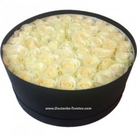 Розы шляпная коробка с 51 белой розой "Мерседес" 